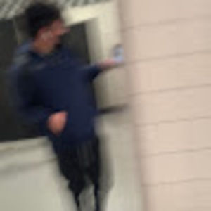 Meet your Posher, Ryder